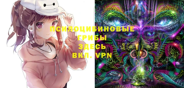 МДПВ Балахна