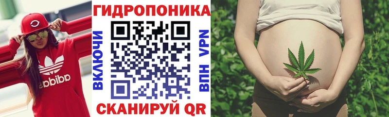Каннабис семена  Слободской 